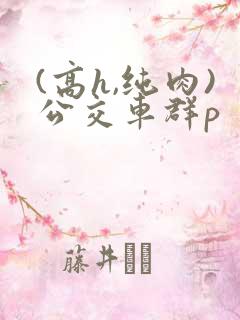 (高h,纯肉)公交车群p