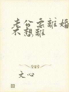 老公要离婚,我不想离