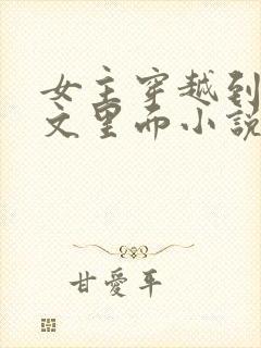 女主穿越到末世文里面小说