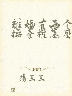 离婚有两个小孩抚养权怎么判定