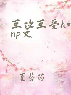 互攻互受h啪肉np文