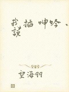 我插 呻吟 小说