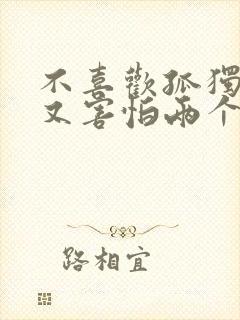 不喜欢孤独,却又害怕两个人相处是什么歌