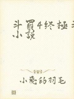 斗罗4终极斗罗小说
