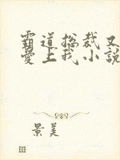 霸道总裁又又又爱上我小说完整版