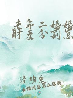 老年二婚婚姻法财产分割怎么分