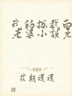 我的总裁白富美老婆小说免费无弹窗