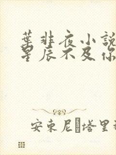 叶非夜小说亿万星辰不及你