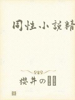 同性小说精英受