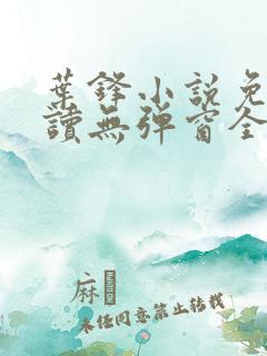 叶锋小说免费阅读无弹窗全文