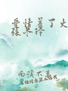 爱情着了火原唱张冬玲