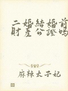 二婚结婚前需要财产公证吗