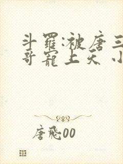 斗罗:被唐三哥哥宠上天 小说完整