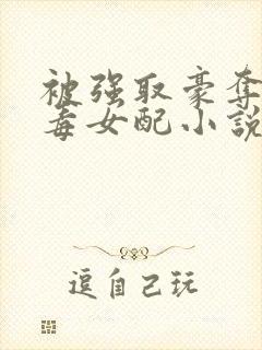 被强取豪夺的恶毒女配小说