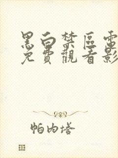 黑白禁区电视剧免费观看影视大全