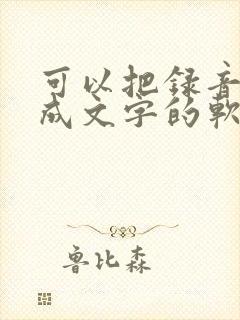 可以把录音转化成文字的软件