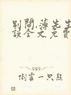 别闹,薄先生小说全文免费阅读