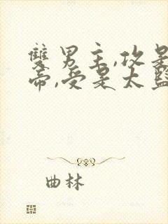 双男主,攻是皇帝,受是太监