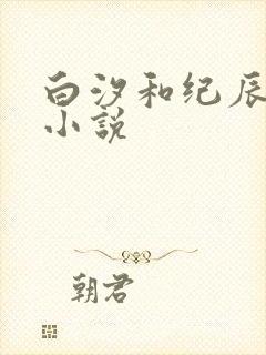 白汐和纪辰凌的小说