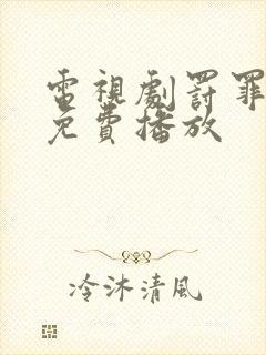 电视剧罚罪全集免费播放