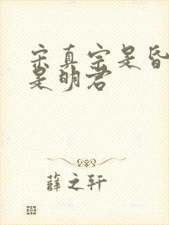 宋真宗是昏君还是明君