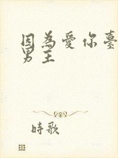 因为爱你台剧双男主