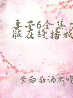 妻子6全集完整版在线播放