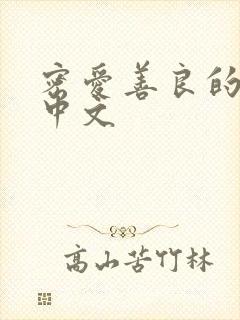 密爱善良的嫂子中文