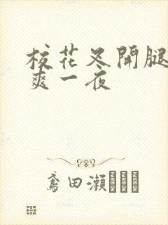 校花叉开腿让我爽一夜