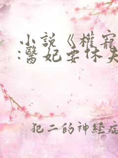 小说《权宠天下:医妃要休夫》