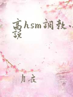 高hsm调教小说