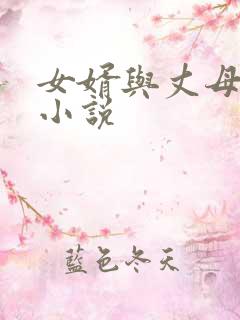 女婿与丈母娘性小说
