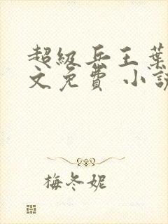 超级兵王叶谦全文免费 小说