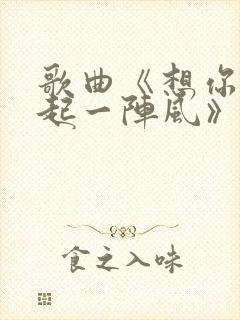 歌曲《想你一次起一阵风》