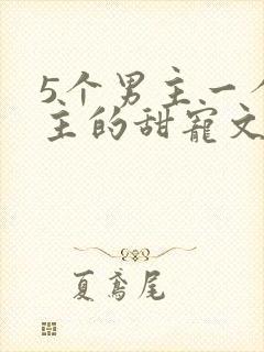 5个男主一个女主的甜宠文