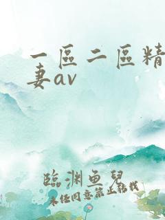 一区二区精品人妻av