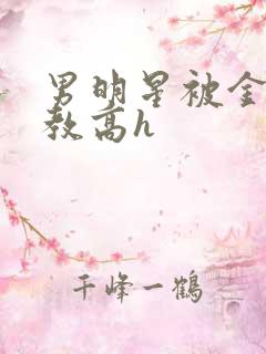 男明星被金主调教高h