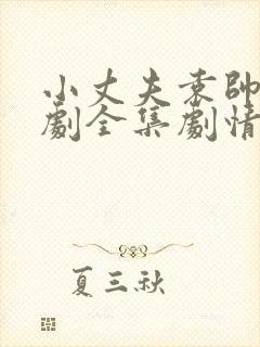 小丈夫袁帅电视剧全集剧情