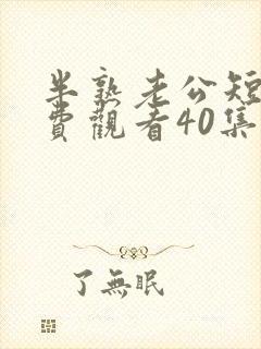 半熟老公短剧免费观看40集电视剧