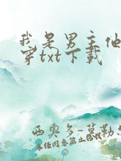 我是男主他哥快穿txt下载