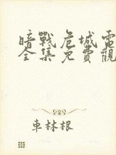 暗战危城电视剧全集免费观看