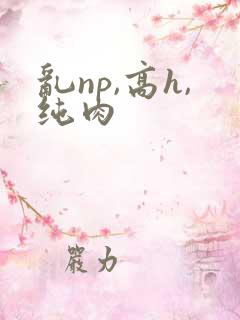 乱np,高h,纯肉
