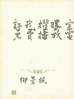 许我耀眼完整版免费播放电视剧