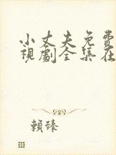 小丈夫免费版电视剧全集在线观看