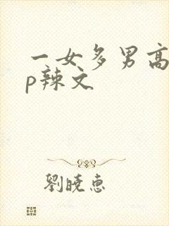 一女多男高hnp辣文