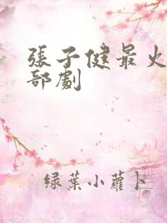 张子健最火的三部剧