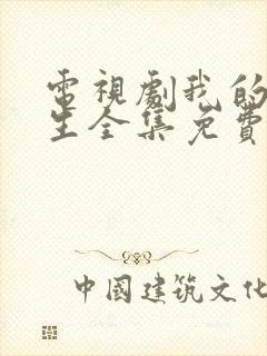 电视剧我的后半生全集免费观看