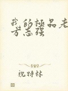 我的极品老婆,方志强