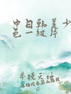 中日韩美少妇黄色一级片