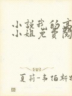 小说我的高冷大小姐免费阅读